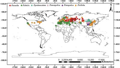 Current Situation, Global Potential Distribution and Evolution of Six <mark class="highlighted">Almond</mark> Species in China